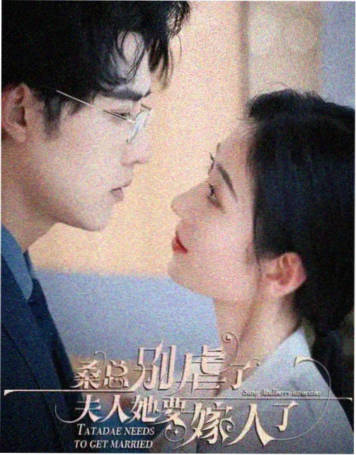 编录笔记配图，季度表与播出日历